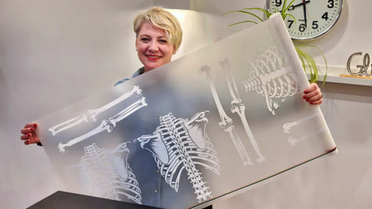 DTF-Transfer NUR Weiß Meterware (56 cm x 100 cm)